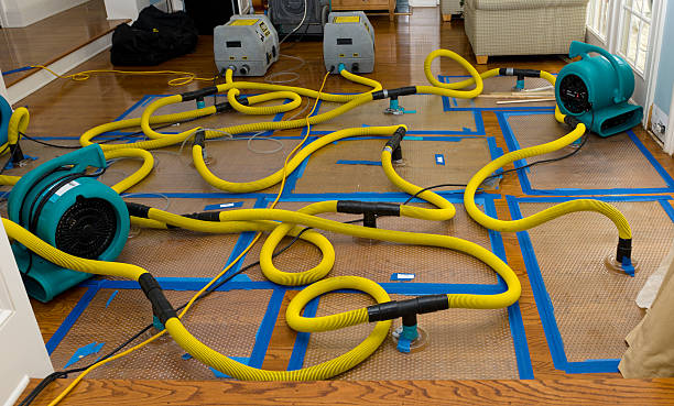 Professional Crawl Space Water Removal technician working in Beecher, IL